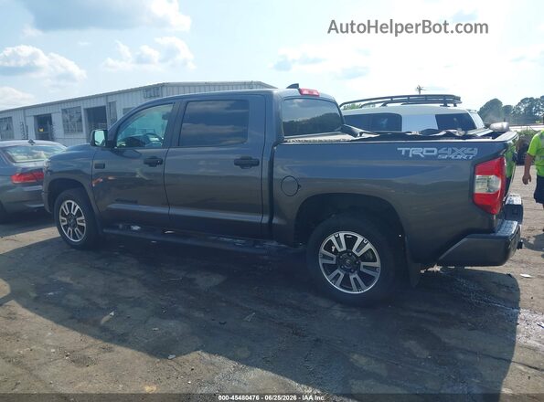 5TFDY5F17LX907119 2020 TOYOTA TUNDRA Gray Widok wnętrza 360 stopni