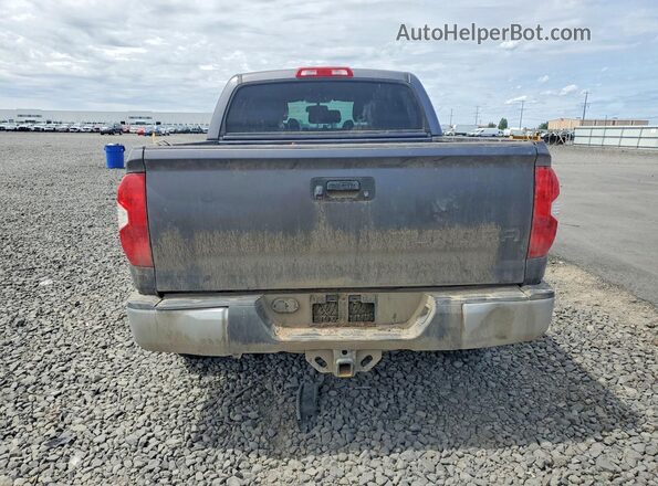 5TFDY5F19HX610313 2017 TOYOTA TUNDRA Gray Rear view
