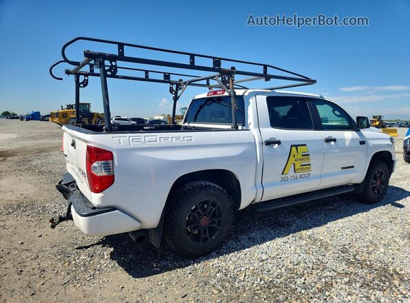 5TFDY5F19MX005539 2021 TOYOTA TUNDRA White Задня права чверть