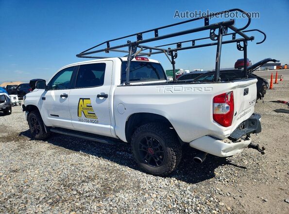 5TFDY5F19MX005539 2021 TOYOTA TUNDRA White Задня ліва чверть