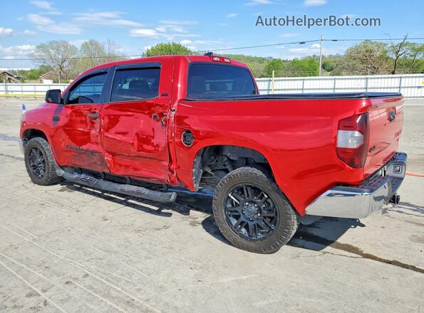 5TFDY5F19MX967579 2021 TOYOTA TUNDRA Red Tył lewy