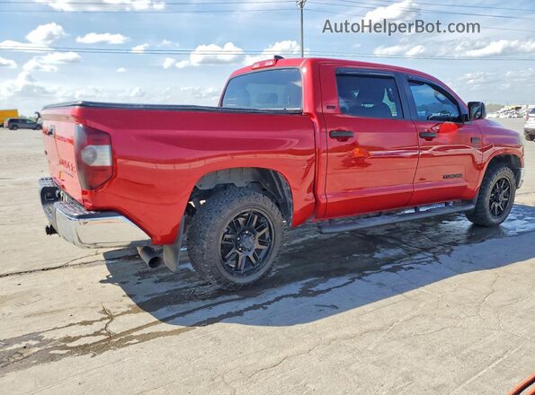 5TFDY5F19MX967579 2021 TOYOTA TUNDRA Red Tył prawy