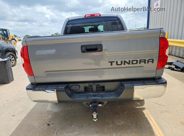 5TFEM5F10KX134749 2019 TOYOTA TUNDRA Silver Widok z tyłu