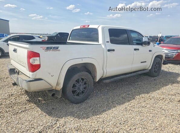 5TFEW5F19HX215493 2017 TOYOTA TUNDRA Белый Задняя правая четверть