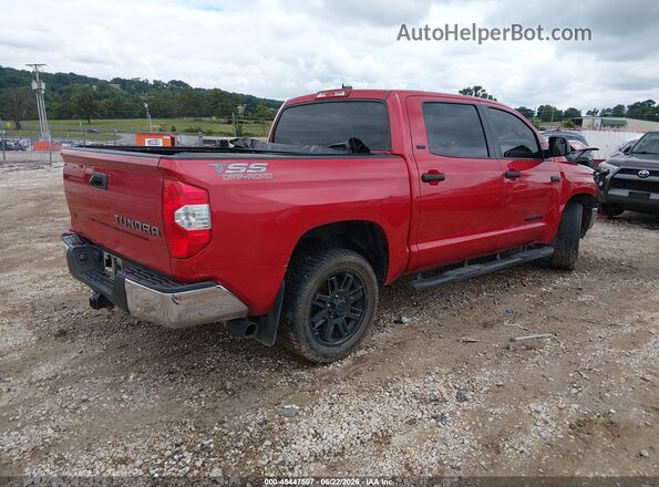 5TFEY5F11MX283176 2021 TOYOTA TUNDRA Red Rear right