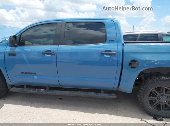 5TFEY5F18LX259536 2020 TOYOTA TUNDRA Blue Սալոնի 360 աստիճան տեսք