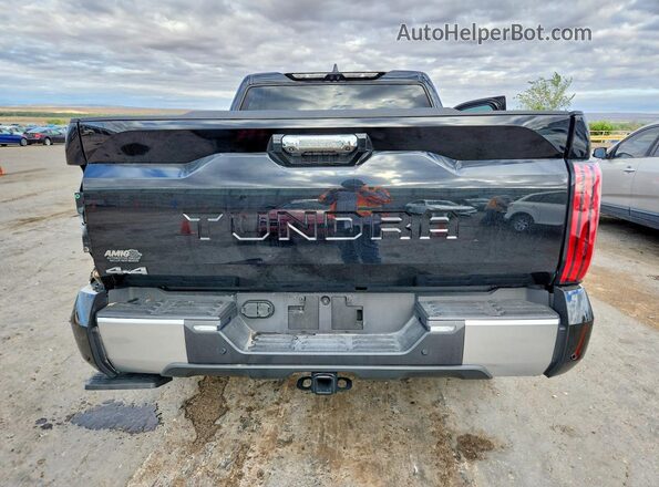 5TFJA5DB2SX324748 2025 TOYOTA TUNDRA Black Rear view