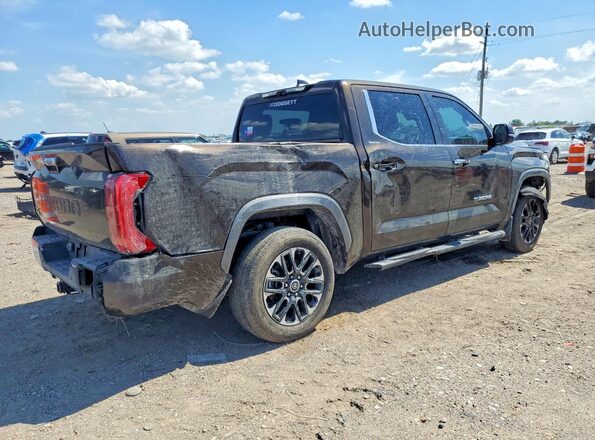 5TFJA5DB3RX203334 2024 TOYOTA TUNDRA Brown Rear right