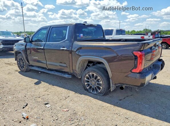 5TFJA5DB3RX203334 2024 TOYOTA TUNDRA Brown Rear left