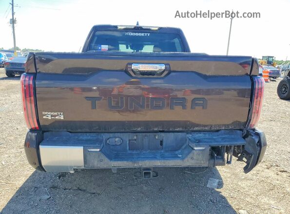 5TFJA5DB3RX203334 2024 TOYOTA TUNDRA Brown Rear view