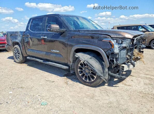 5TFJA5DB3RX203334 2024 TOYOTA TUNDRA Brown Front right