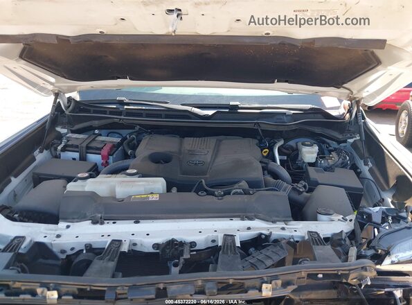 5TFJA5DB7PX126481 2023 TOYOTA TUNDRA White Rear view