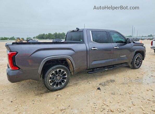 5TFJA5EC0RX023882 2024 TOYOTA TUNDRA Gray Հետևի աջ