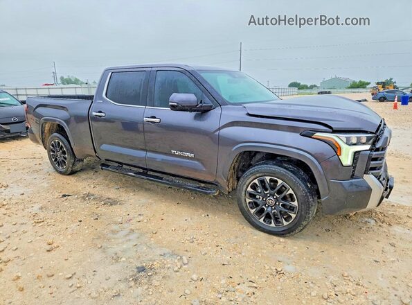 5TFJA5EC0RX023882 2024 TOYOTA TUNDRA Gray Առջևի աջ