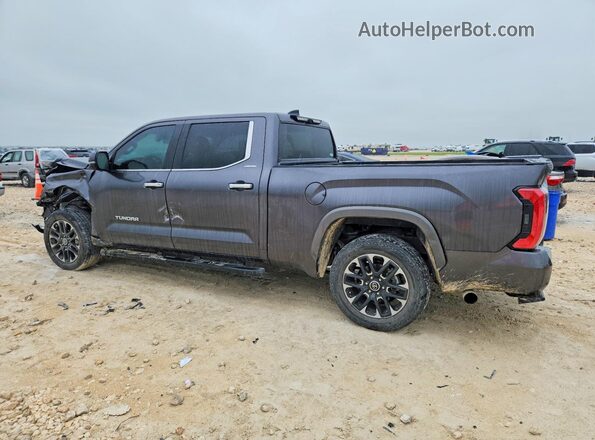 5TFJA5EC0RX023882 2024 TOYOTA TUNDRA Gray Հետևի ձախ