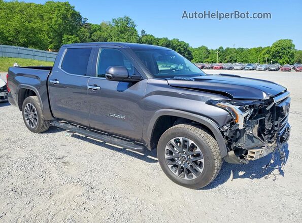 5TFJC5DB0RX064211 2024 TOYOTA TUNDRA Charcoal Front right