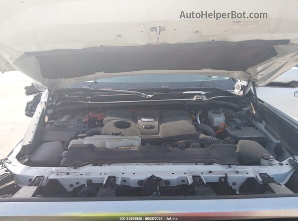 5TFJC5DB6RX065542 2024 TOYOTA TUNDRA HYBRID White Հետևի տեսք
