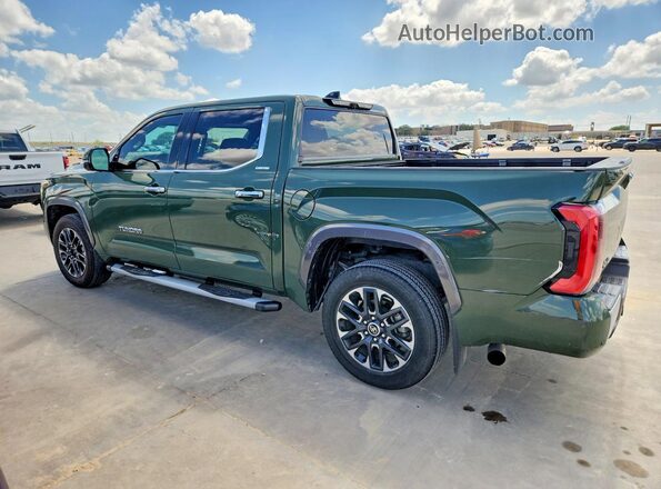 5TFJC5DBXPX039362 2023 TOYOTA TUNDRA Green Задня ліва чверть
