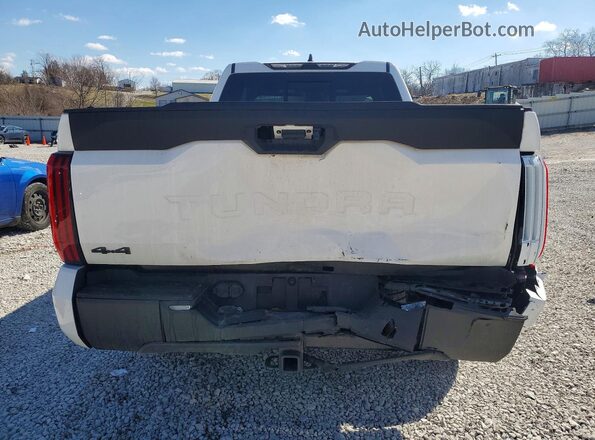 5TFKB5DAXSX330449 2025 TOYOTA TUNDRA White Widok z tyłu