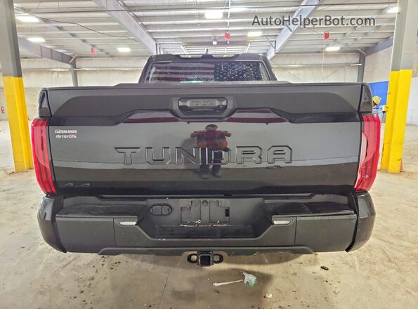 5TFKB5DB0SX288737 2025 TOYOTA TUNDRA Black Vista trasera