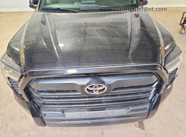 5TFKB5DB0SX288737 2025 TOYOTA TUNDRA Black Vista interior trasera