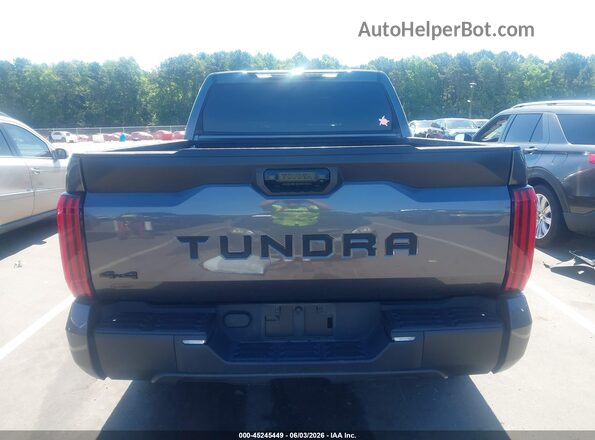 5TFKB5DB1RX133902 2024 TOYOTA TUNDRA Gray 