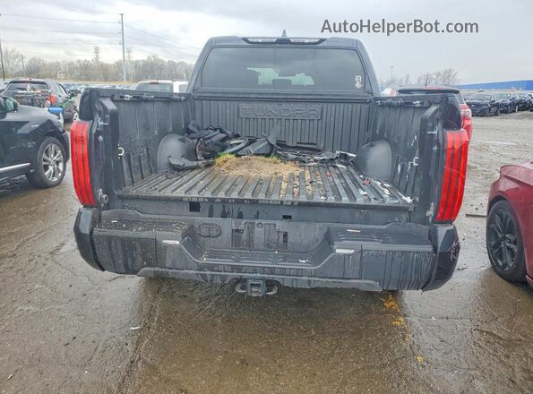 5TFKB5DB1SX296748 2025 TOYOTA TUNDRA Black 