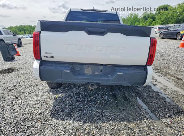 5TFKB5DB9SX250455 2025 TOYOTA TUNDRA White Հետևի տեսք