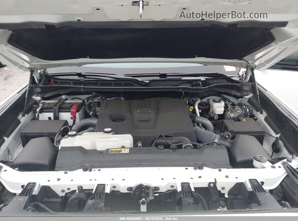 5TFLA5AB5RX033460 2024 TOYOTA TUNDRA Белый Вид сзади