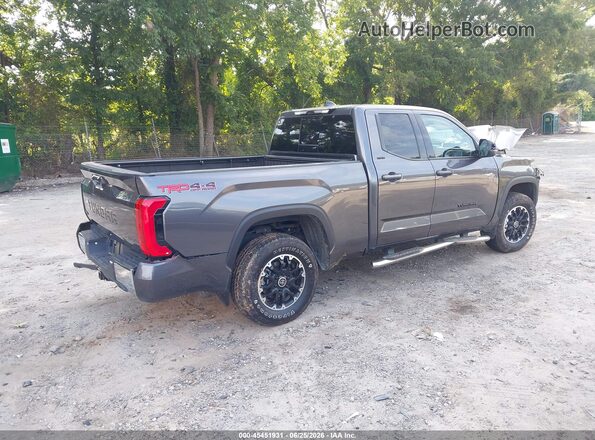 5TFLA5DA1PX090786 2023 TOYOTA TUNDRA Gray Trasero derecho