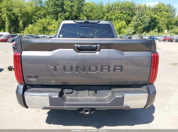 5TFLA5DAXPX123316 2023 TOYOTA TUNDRA Серый 