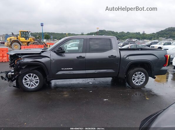 5TFLA5DB0SX317421 2025 TOYOTA TUNDRA Серый Вид задней части салона