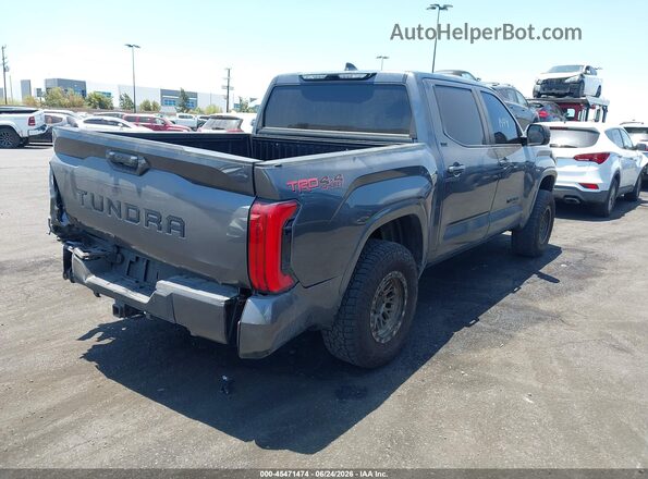 5TFLA5DB1RX203485 2024 TOYOTA TUNDRA Gray უკანა მარჯვენა