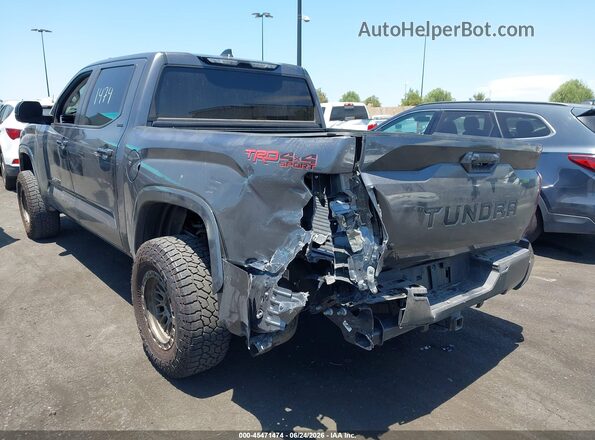 5TFLA5DB1RX203485 2024 TOYOTA TUNDRA Gray უკანა მარცხენა