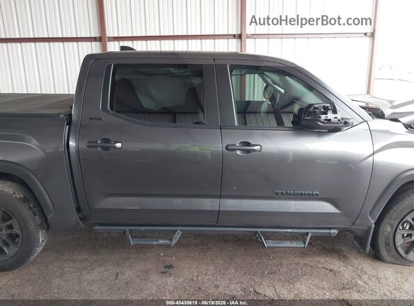 5TFLA5DB1SX243376 2025 TOYOTA TUNDRA Gray Սալոնի հետևի տեսք