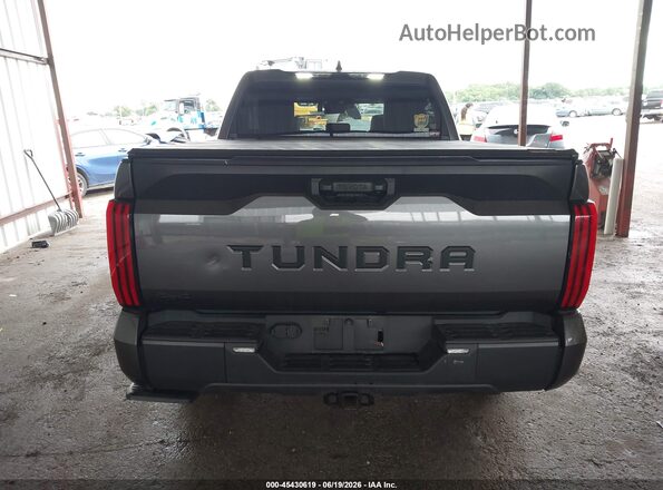 5TFLA5DB1SX243376 2025 TOYOTA TUNDRA Gray 
