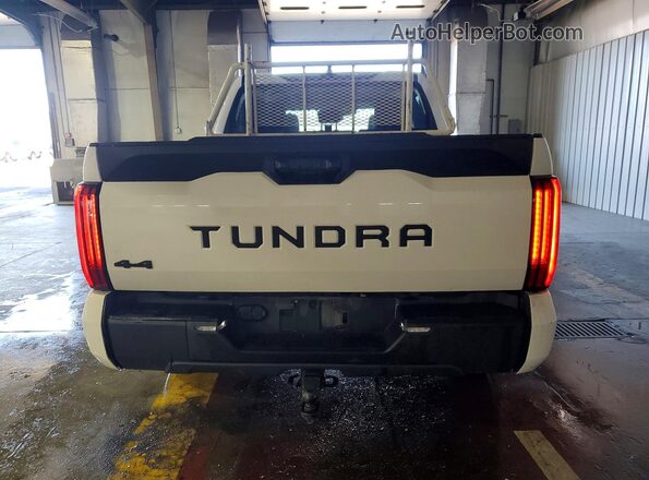 5TFLA5DB2RX217623 2024 TOYOTA TUNDRA White Widok z tyłu