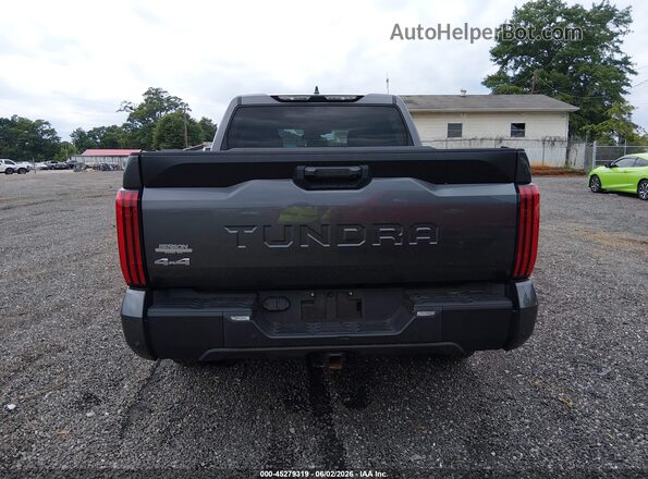5TFLA5DB3RX172000 2024 TOYOTA TUNDRA Gray 