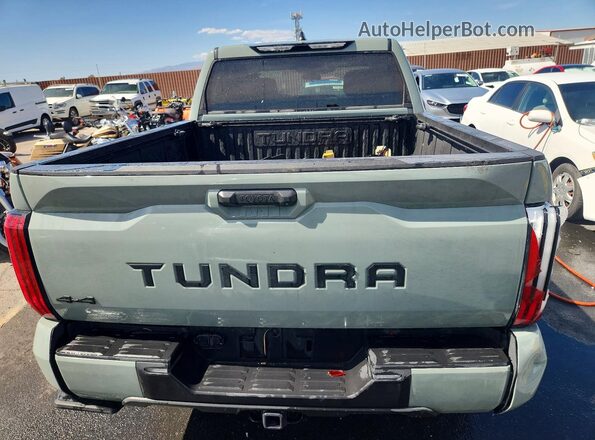 5TFLA5DB3RX187435 2024 TOYOTA TUNDRA Серый Вид сзади
