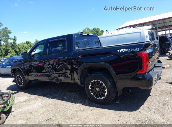 5TFLA5DB5RX184035 2024 TOYOTA TUNDRA Черный Панорамный вид салона 360°