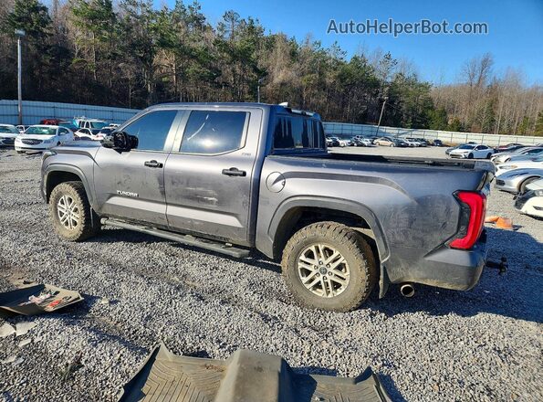5TFLA5DB7RX166670 2024 TOYOTA TUNDRA Gray Задня ліва чверть