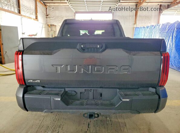 5TFLA5DB7TX336579 2026 TOYOTA TUNDRA Gray Widok z tyłu