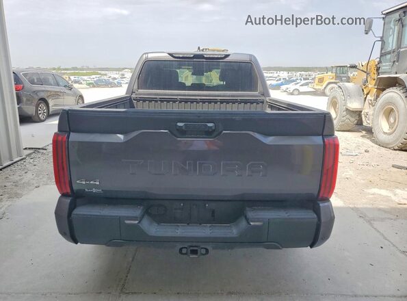 5TFLA5DB8RX159453 2024 TOYOTA TUNDRA Gray Rear view