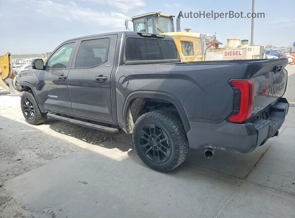 5TFLA5DB8RX159453 2024 TOYOTA TUNDRA Gray Rear left