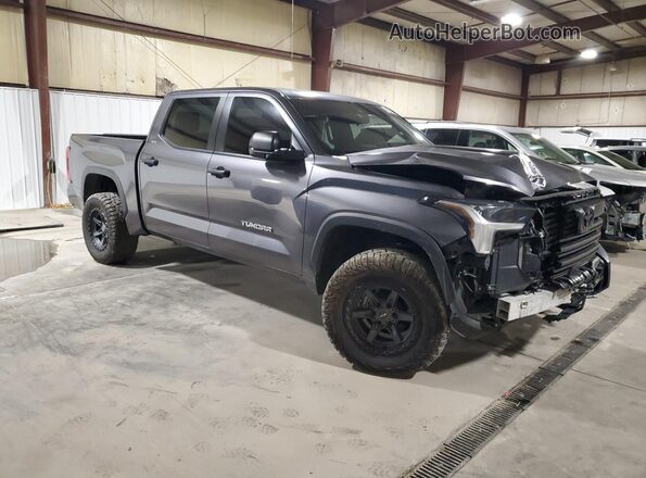 5TFLA5DB8SX261664 2025 TOYOTA TUNDRA Серый 