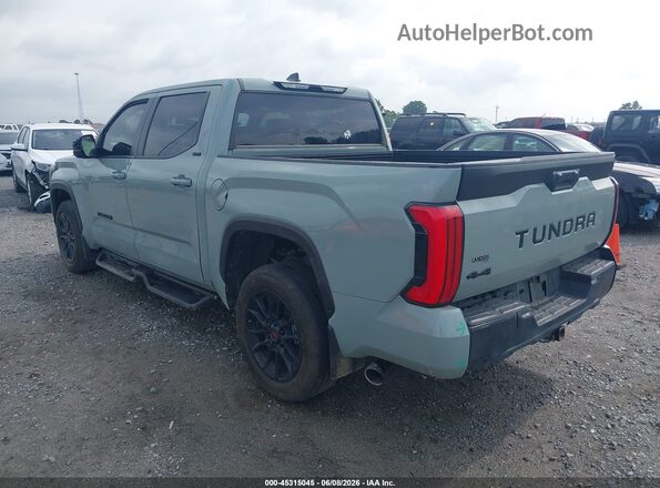 5TFLA5DB9RX225377 2024 TOYOTA TUNDRA Бирюзовый Задняя левая четверть
