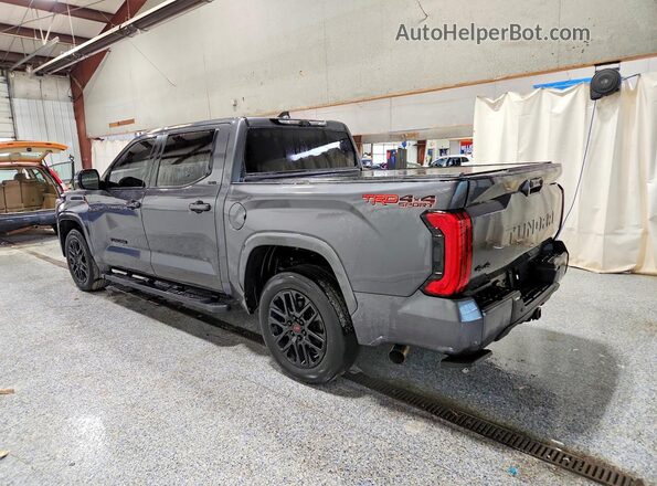 5TFLA5DBXRX133470 2024 TOYOTA TUNDRA Gray Rear left