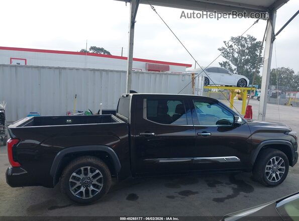 5TFMA5AB9NX011105 2022 TOYOTA TUNDRA Коричневый Вид задней части салона
