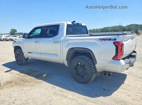5TFMA5DB1NX042697 2022 TOYOTA TUNDRA Белый Задняя левая четверть