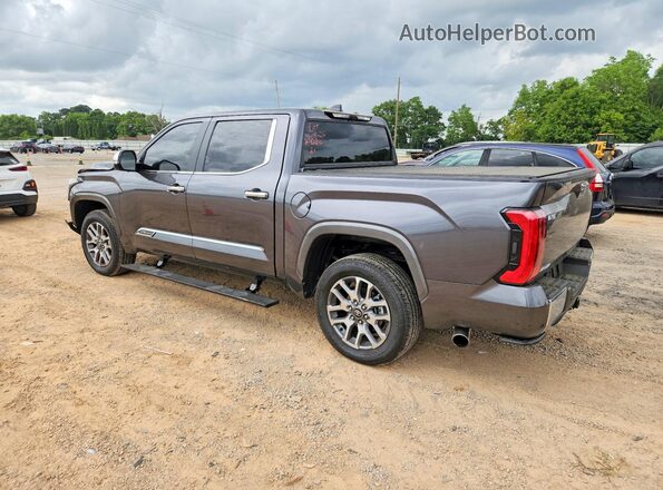 5TFMA5DB4TX360102 2026 TOYOTA TUNDRA Gray Հետևի ձախ